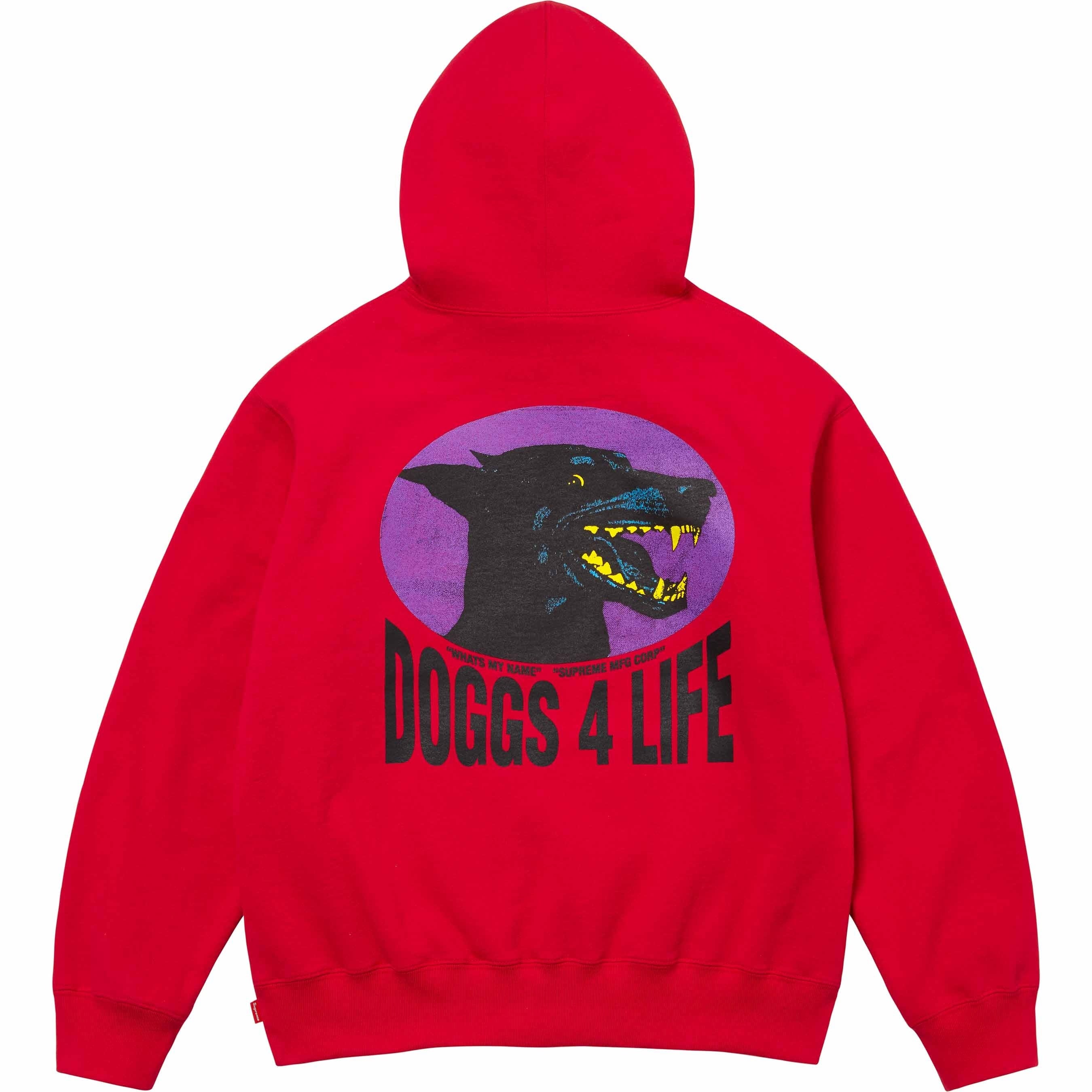 Doggs Hooded Sweatshirt view 4